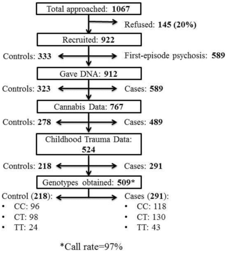 Flow diagram and numerical breakdown of outcomes for subject recruitment and genotyping.