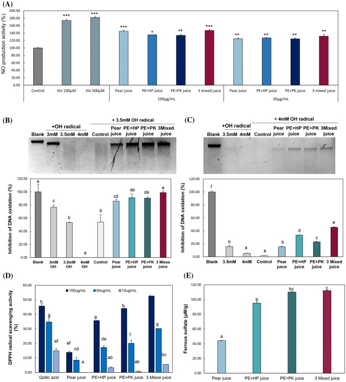 NO production activity on EA.hy926 cells and antioxidant activities of juice samples. Effect of juice samples on NO production (A) of EA.hy926 cells. Cells were treated with juice samples and NO production were determined after 24 h. Histamine (His) was used as a positive control for NO production. Data are mean ± standard deviation of at least three replicates of juice samples. The asterisk indicates a significant difference compared with blank (p < 0.05). Protective effect of juice samples on DNA oxidative damage induced by OH radical using Fenton’s reaction of 3.5 mM (B) and 4 mM (C). Genomic DNA purified from EA.hy926 cells. DNA was electrophoresed on a 1% agarose gel for 30 min at 100 V and visualized by UV light after staining with Midori Green. Blank, non-treated DNA; Control, OH radical treated DNA. 2,2-diphenyl-1-picrylhydrazyl (DPPH) radical scavenging activity (D) and FRAP assay (E) were evaluated in the presence of juice samples. Data are means ± standard deviations of at least three replicates of juice samples. The difference letter indicates a significant difference from each other (p < 0.05) by Duncan’s multiple test. PE, pear; PK, pumpkin seed; HP, hemp seed
