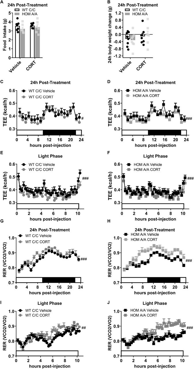 Scientific figure