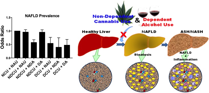 Dependent alcohol use abolishes reduced NAFLD prevalence observed in non-dependent cannabis users.Bar graph described from the leftmost to the rightmost: Taking non-cannabis users/non-alcohol users (NCU+NAU) as the reference group, non-dependent (moderate) cannabis use/non-alcohol use (NDCU+NAU) caused a slight reduction in NAFLD prevalence, though not statistically significant. Non-dependent (moderate) alcohol use among NDCU (NDCU+NDA) resulted in a reduced NAFLD prevalence, though this protection was lost with dependent (abusive) alcohol use (NDCU+DA). However dependent (high volume) cannabis use (DCU) was always associated with a reduction in NAFLD prevalence among all categories of alcohol users: non-alcohol (DCU+NAU), moderate/non-dependent alcohol users (DCU+NDA) and copious/dependent alcohol users (DCU+DA). Illustrated schematics made use of some motifolio templates (www.motifolio.com).