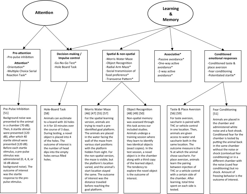 Cognitive domains assessed in rat studies across the literature are in circles, as described in a seminal review paper (see [28]). The second layer of boxes contains the narrower cognitive function along with the behavioral tasks typically used to assess that function. Asterisks represent cognitive functions or tasks that were not assessed or used in the included studies covered in this review. The third layer of boxes contains short descriptions for the tasks used across the included studies. The numbers in brackets are the citation for the study/studies that used the task. It should be noted that these are general overviews of the tasks used across our included studies; therefore, there may be slight variations in how the task was administered. Additionally, even though Pre-Pulse Inhibition is mostly used in schizophrenia research to assess sensorimotor deficits, here we mostly used and interpreted this measure as a reflection of pre-attention processes