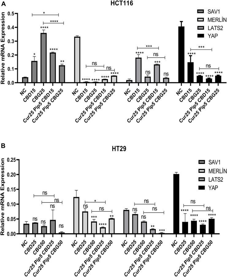 (A) Representative graph of Hippo pathway genes expression profiles of HCT116 cells after 72 h. (B) Hippo pathway genes expression profiles of HT29 cells after 72 h. (ns: non-significant, *: p < 0.05, **: p < 0.01, ***: p < 0.001, ****: p < 0.0001).