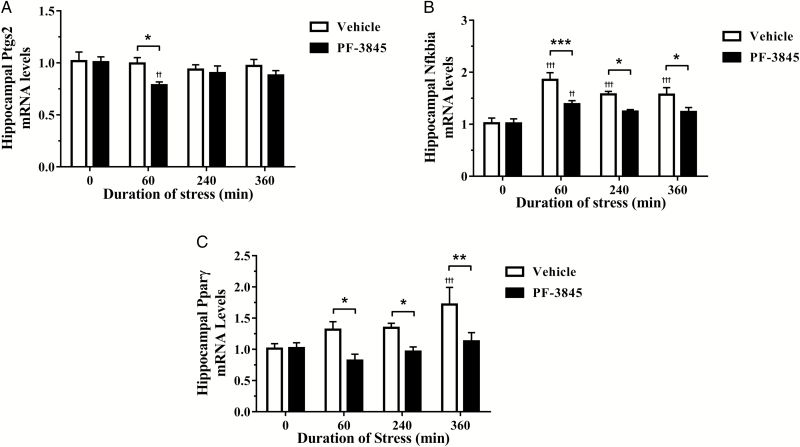 The effect of the fatty acid amide hydrolase inhibitor, PF-3845 (5 mg/kg, i.p. injection), on hippocampal (A) prostaglandin-endoperoxide synthase 2 (Ptgs2; also known as cyclooxygenase-2 or Cox-2), (B) nuclear factor of kappa light polypeptide gene enhancer in B-cells inhibitor, alpha (Nfkbia), and (C) peroxisome proliferator activated receptor gamma (Pparγ) mRNA expression from control and stressed rats (n=5–6/group). The relative mRNA expression was determined in the dorsal hippocampus from rats exposed to 0 (control), 60, 240, and 360 minutes of acute restraint stress. Data are presented as mean±SEM. ††P<.01 and †††P<.001 vs vehicle-treated group at 0 (control) minute; *P<.05, **P<.01, and ***P<.001 between vehicle- and PF-3845-treated groups at each respective time-point.