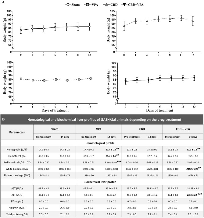 Effects on body weight and hematological and biochemical profiles of treated GASH/Sal animals. (A) Graphs show the time course of body weight variations monitored during the 14-day treatment in sham-, VPA–, CBD–, and CBD+VPA-treated groups. Notice that all experimental groups showed a steady and persistent body weight throughout the treatment, and no significant differences were found as compared to the pre-treatment conditions (time 0 in the horizontal axis of the graphs). Data are shown as means ± SEM. (B) Table shows hematological and biochemical profiles of GASH/Sal animals after 14 days of chronic drug treatments. The hematological assessment of blood included the following parameters: hemoglobin concentration, hematocrit (volume percentage of red blood cells in blood), and number of red blood cells, white blood cells, and platelets in a microliter (μL). The analysis of liver function included five biochemical parameters: aspartate aminotransferase (AST), alanine aminotransferase (ALT), bilirubin (BT), albumin, and total protein. Asterisks and bold values in the table denote statistical significance (**p < 0.01, ***p < 0.001) as compared to the pre-treatment conditions and the sham group.
