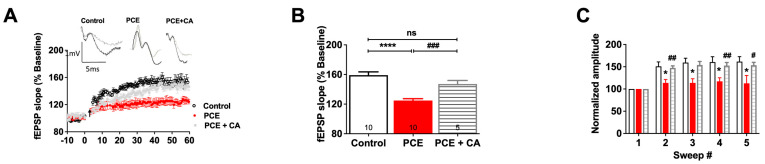 PSA in the form of CA rescues LTP deficits in PCE animals. (A) LTP graph showing fEPSP slope before and after induction by TBS. Mean slope of fEPSPs recorded 10 min prior to TBS was taken as 100%, and the arrow indicates delivery of TBS. fEPSP slope showed a reduction in the PCE animals which was increased to control level with the application of CA. (B) LTP bar graph showed fEPSPs recorded for 50–60 min following TBS induction normalized to baseline levels. Significant improvement in LTP was observed after CA application as measured by fEPSP slope in PCE animals. (C) Within-train facilitation, computed by normalizing the amplitude of the first fEPSPs in trains #2-5 with the amplitude of first fEPSP in the first train. This showed a significant reduction in the sweep in PCE animals, which was increased to control level with the application of CA. Symbols represent means ± SEMs from five rats per group. * indicates significant difference in control vs. PCE; #indicates significant difference in PCE vs. PCE + CA; */# p < 0.05, ## p < 0.01, ### p < 0.001, **** p < 0.0001; “ns” indicates not significant.