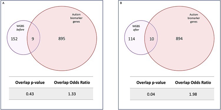 WGBS and autism epimutation biomarker gene overlap. Venn diagrams showing the number of differentially methylated genes in common between WGBS and a list of genes with methylation epimutations used as a biomarker panel for paternal risk of autism susceptibility. A nonsignificant overlap between (A) genes differentially methylated before abstinence and genes identified on the biomarker panel (P = 0.43, odds ratio = 1.33) and a significant overlap between (B) genes differentially methylated after abstinence and genes identified on the biomarker panel (P = 0.04, odds ratio = 1.98)