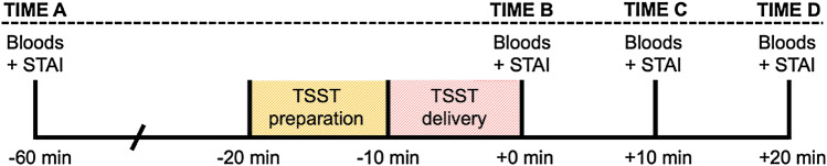Timing of Trier Social Stress Test (TSST) procedures