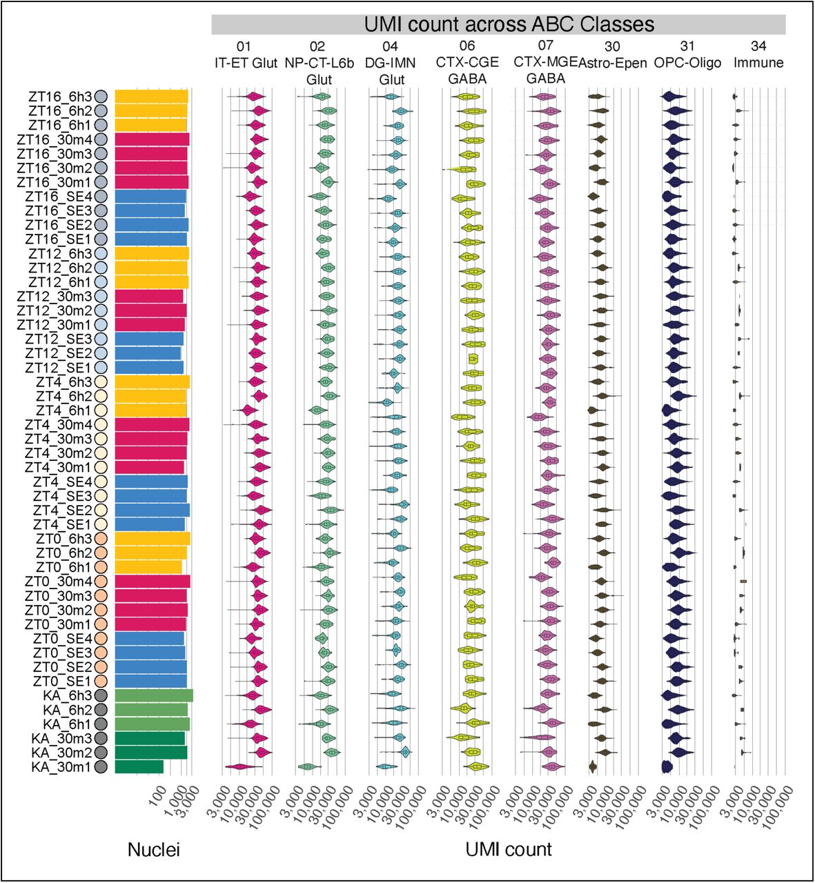 UMI counts among ABC cell Classes for each biological replicate.