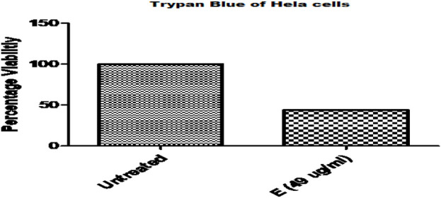 Comparative Analysis of Ethanolic Plant Extract on Cervical Cancer Cells (HeLa cell) By Trypan Blue Assay.