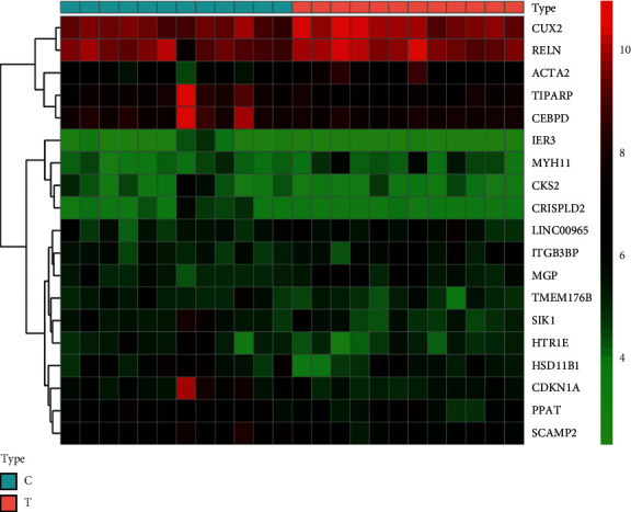 Heat map of GSE54575. C: gene analysis of brain tissue in the normal group. T: analysis of brain tissue genes in the depression group.