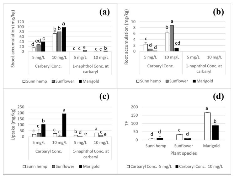 Carbaryl and 1-naphthol accumulation in plants after 4 days of cultivation for carbaryl treatments at 5 and 10 mg L−1; shoot accumulation (a), root accumulation (b), uptake capacity (c), and translocation factor (d). Note: a, b, c, d, and e indicate significant differences based on ANOVA and Tukey’s HSD test. The data shown are mean and SD.