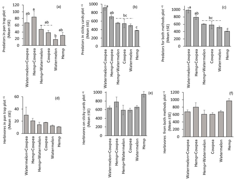 Abundance of predators in (a) pan traps, (b) sticky cards, and (c) both pan traps and sticky cards, and herbivores in (d) pan traps, (e) sticky cards, and (f) both pan traps and sticky cards. Treatment means (bars) within each graph followed by the same letter(s) are not significantly different (Sidak-adjusted p-value to correct for family-wise error, p > 0.05). The absence of letters above the bars indicates that no statistically significant differences were found among the treatments (p > 0.05).