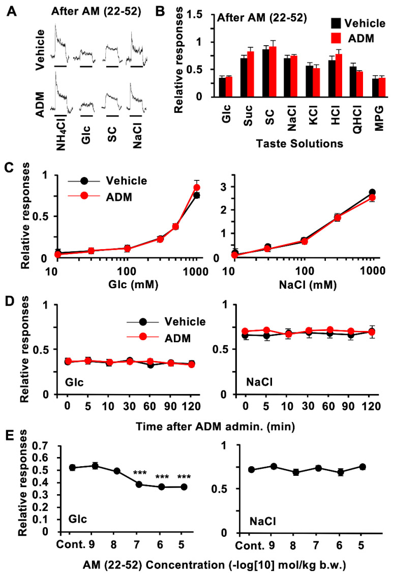 Adrenomedullin (ADM) receptor antagonist AM (22–52) inhibited ADM effect on chorda tympani (CT) nerve responses to sugars. (A) Typical examples of CT nerve responses 10–30 min after i.v. injection of vehicle (upper traces) or 10−6 mol/kg b.w. of ADM (lower traces) in B6 mice pretreated with 10−7 mol/kg b.w. of AM (22–52) intravenously. (B), CT nerve responses to 500 mM of glucose (Glc), 500 mM of sucrose (Suc), 1 mM of SC45647 (SC), 100 mM of NaCl, 100 mM of KCl, 10 mM of HCl, 20 mM of quinine HCl (QHCl), and 100 mM of monopotassium glutamate (MPG) 10–30 min after administration of vehicle (black bars) or 10−6 mol/kg b.w. of ADM (red bars) in B6 mice pretreated with 10−7 mol/kg b.w. of AM (22–52) (n = 7). (C) Concentration dependence of CT nerve responses to Glc and NaCl 10–30 min after administration of vehicle (black symbols) or 10−6 mol/kg b.w. of ADM (red symbols) after pretreatment with 10−7 mol/kg b.w. of AM (22–52) (n = 7). (D) Time-dependent changes in CT nerve responses to Glc and NaCl after administration of vehicle (black symbols) or 10−6 mol/kg b.w. of ADM (red symbols) plus pretreatment with 10−7 mol/kg b.w. of AM (22–52) (n = 7). (E), Dose-dependent effect of AM (22–52) pretreatment on enhancing effect of 10−6 mol/kg b.w. of ADM on CT nerve responses to 500 mM of Glc (left) and 100 mM of NaCl (right) (n = 7). Control (Cont.) shows effects of 10−6 mol/kg b.w. of ADM on CT nerve responses to Glc and NaCl after vehicle pretreatment. Asterisks show significant differences between 10−6 mol/kg b.w. ADM plus pretreatment with vehicle vs. pretreatment with AM (22–52) (*** p < 0.001; post hoc t-test following one-way ANOVA (E)). Significant differences were not found between vehicle controls and ADM administration after pretreatment with AM (22–52) (B–D). All data are presented as means ± SEMs.