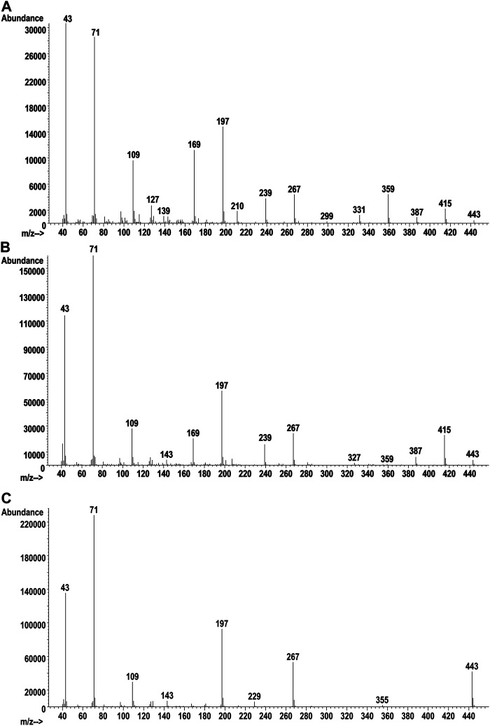 Vaping liquid SAIB component GC-MS spectra for earliest eluting peak (A, 28.6 min), mid eluting peak (B, 31.6 min), and last eluting peak (C, 34.4 min).