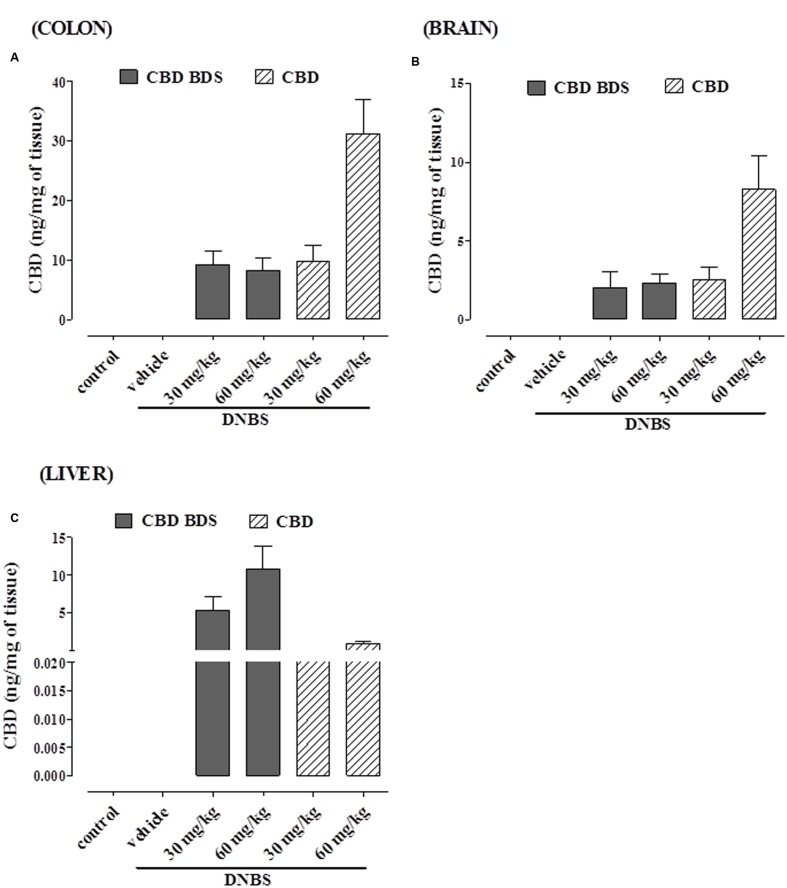 CBD levels in colon (A), brain (B), and liver (C) of DNBS-treated mice after oral administration of either CBD BDS or CBD. Data are means ± SEM of N = 5–6 mice.