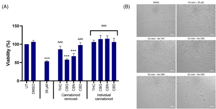 The effect of individual cannabinoids on the effects induced by the cannabinoid ratio in the MCF7 cell line. The effect treatment with the complete cannabinoid ratio, the ratio with individual cannabinoids removed, and individual cannabinoids alone for 24 h on cell (A) viability and (B) morphology, determined using the crystal violet assay and light microscopy (100×, scale bar = 100 μm), respectively (n = 3, data are presented as mean ± SD, *significant to untreated control; ^significant to cannabinoid ratio (39 μM); ***/^^^p < 0.001). CBD, Cannabidiol; CBG, Cannabigerol; CBN, Cannabinol; DMSO, dimethyl sulfoxide vehicle control; THC, Δ9‐tetrahydrocannabinol; UT, untreated.