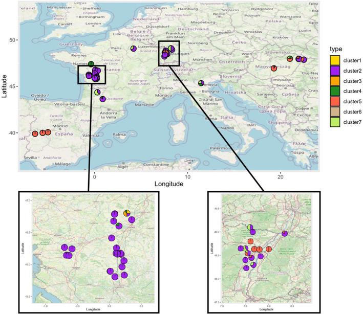 Geographical map showing the distribution of the genetic clusters identified by DAPC at K = 7 in the Phelipanche ramosa populations sampled from tobacco fields.
