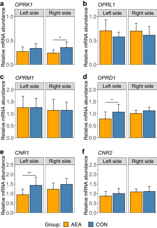 Relative mRNA abundance of (a) opioid receptor kappa 1 (OPRK1), (b) opioid related nociceptin receptor 1 (OPRL1), (c) opioid receptor mu 1 (OPRM1), (d) opioid receptor delta 1 (OPRD1), (e) cannabinoid receptor 1 (CNR1) and (f) cannabinoid receptor 2 (CNR2) in left and right amygdala of cows treated intraperitoneally with NaCl (CON, left hemisphere n = 8, right hemisphere n = 8) or N-arachidonoylethanolamide (AEA, left hemisphere n = 8, right hemisphere n = 8). The mean of the observed data ± SD is shown for interpretation. *P < 0.05, **P < 0.01.