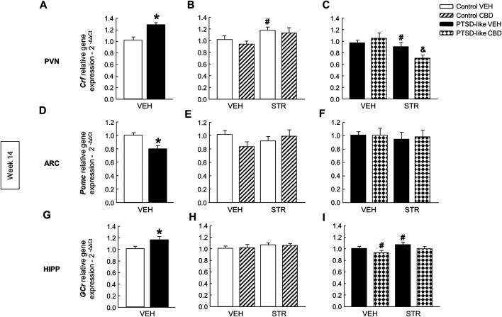 Relative gene expression analyses of Hypothalamus-Pituitary-Adrenal (HPA) axis markers by real time PCR at week 14. Comparative analysis between control and PTSD-like VEH-treated mice of the relative gene expression of corticotropin releasing factor (Crf) in the paraventricular nucleus (PVN) (A), proopiomelanocortin (Pomc) in the arcuate nucleus (ARC) (D), and glucocorticoid receptor (GCr) in the hippocampus (G). Effects of CBD (20 mg/kg, i.p.) and/or STR (10 mg/kg, p.o.) administration, or its corresponding VEH, on the relative gene expression of Crf in the PVN (B,C), Pomc in the ARC (E,F), and GCr in the HIPP (H,I) of control and PTSD-like mice. Columns represent the means and vertical lines ± SEM of 2-∆∆Ct. *, Values from PTSD-like mice that are significantly different from control mice (Student’s t-test, p < 0.05). #, Values from CBD- or STR-treated mice that are significantly different from VEH-treated mice (Two-way ANOVA, p < 0.05). and, Values from CBD plus STR-treated mice that are significantly different from CBD- and STR-treated mice (Two-way ANOVA, p < 0.05). Mice exposed to the PTSD-like model: N(VEH) = 10, N(CBD) = 9, N(STR) = 9, N(CBD plus STR) = 10; control mice: N(VEH) = 10, N(CBD) = 9, N(STR) = 9, N(CBD plus STR) = 10.