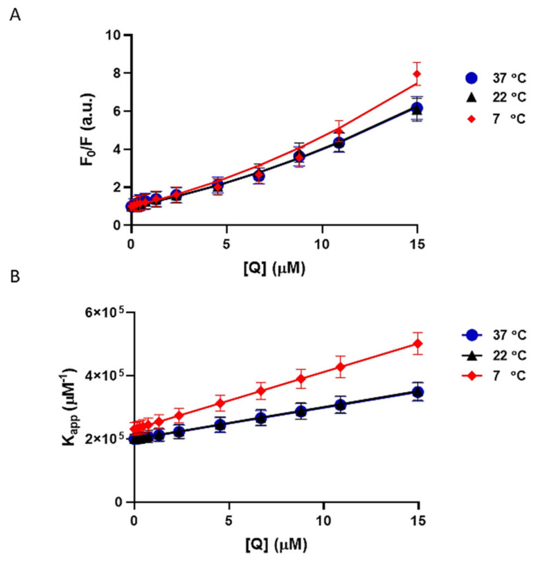 Modified Stern-Volmer plots of tau-CBD at 7 °C, 22 °C, and 37 °C. All data points are given as the mean ± SD of three independent experiments (n = 3). (A) Modified Stern–Volmer plot of tau protein fluorescence quenching at different concentrations of CBD from 0–14.9 µM (0 µM, 0.45 µM, 1.3 µM, 2.3 µM, 4.5 µM, 6.7 µM, 10.9 µM, and 14.9 µM) at 7 °C, 22 °C, and 37 °C. The data points are the results of the quenching experiment and the corresponding regressions are shown as lines. (B) The apparent quenching constant (Kapp ) plot of tau protein fluorescence quenching at different concentrations of CBD from 0–14.9 µM (0 µM, 0.45 µM, 1.3 µM, 2.3 µM, 4.5 µM, 6.7 µM, 10.9 µM, and 14.9 µM) at 7 °C, 22 °C, and 37 °C.
