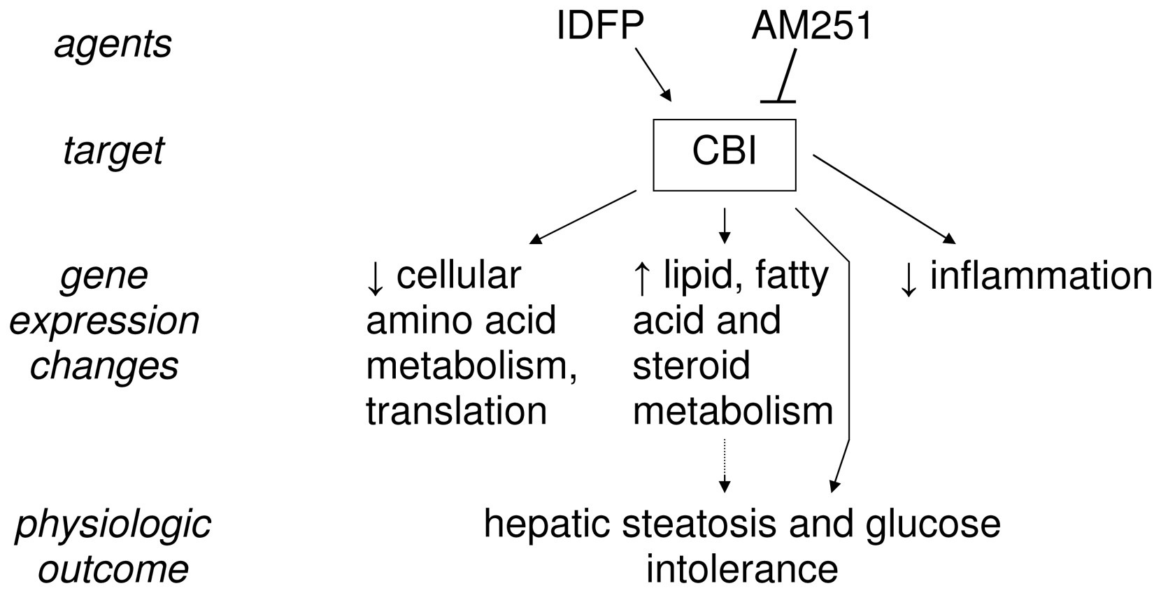 Effects of IDFP and AM251 on gene expression and physiological outcomes.