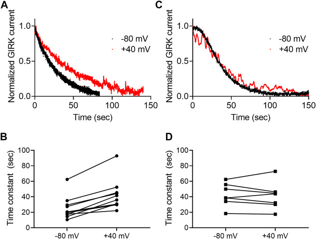 Voltage dependence of the dissociation of agonist from the CB1 receptor. (A) And (C)A comparison of the decay of GIRK currents at −80 mV (black) or at +40 mV (red). The currents were evoked following activation with 2-AG (A) or AEA (C). The washout of the agonists took place at time 0 and the currents were normalized to enable comparison between the two recordings. (B) and (D). Time constants of decay measured of −80 mV and +40 mV. The currents were evoked following activation with 2-AG (B) or AEA (D).Each two data points connected with a line represent the same oocyte at the two holding potentials.