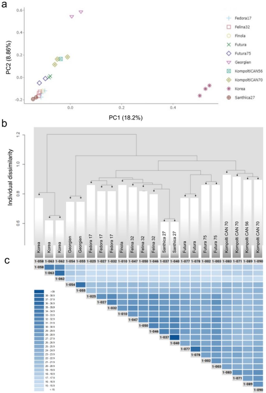 Individual hemp plants from the same cultivar show a high degree of similarity.A principal component analysis (PC1 and PC2) shows a clustering of individuals of the same hemp cultivar (a). For PC1 and PC3, and PC2 and PC3 see S7 Fig.