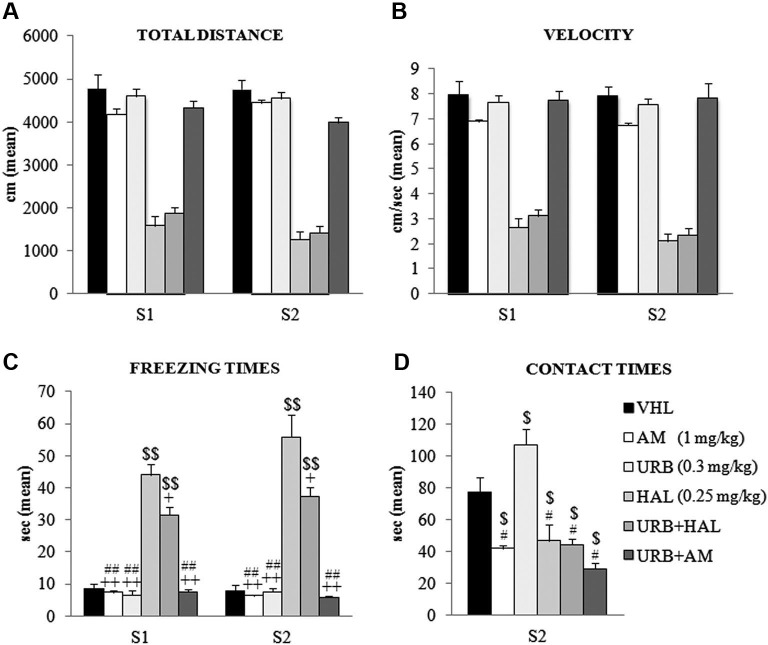 Behavioral effects of OF task. (A) Total distance, (B) velocity, (C) freezing times and (D) contact times in the absence (S1) and presence (S2) of the object. Note the haloperidol-dependent motor inhibition that was not contrasted (or only partially with regard to freezing times) by URB597 and haloperidol coadministration. In S1 and S2, the HAL group had the highest freezing times (vs. URB, URB+HAL, AM, URB+AM groups at least p = 0.01, +; vs. VHL group p = 0.001, $$). The URB+HAL group had freezing times higher than URB, AM, URB+AM (p = 0.001, ##) and VHL (p = 0.001, $$) groups. In (D), the URB group displayed the highest contact times (vs. URB+HAL, URB+AM, HAL, AM groups at least p = 0.01, # vs. VHL group p = 0.05, $). All groups exhibited contact times significantly (at least p = 0.04, $) lower than the VHL group.
