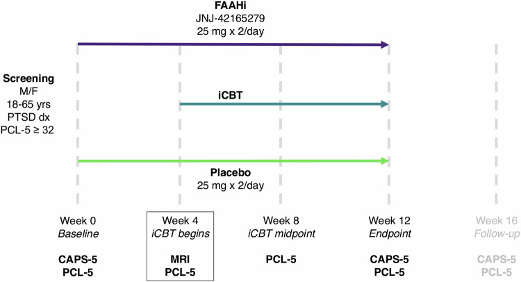 Clinical trial procedure schematic.Participants were randomized to either the FAAHi or the placebo groups at baseline (week 0). The pharmacological dosing regimen lasted for 12 weeks following baseline. After 4 weeks, participants began an internet-based CBT program (iCBT), which lasted another 8 weeks. The endpoint of the clinical trial, when both the FAAHi/placebo and the iCBT were finished, was 12 weeks after baseline. A phone follow-up appointment occurred 16 weeks following baseline. The data from the follow-up session are not included in this study.