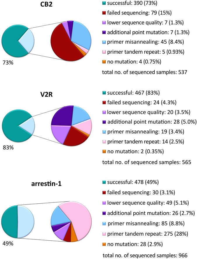 Results of alanine scanning mutagenesis on two G protein-coupled receptors, cannabinoid CB2 receptor (CB2) and vasopressin V2 receptor (V2R) compared with the one-fragment mutagenesis approach used for arrestin-1 (Sun, Ostermaier et al.13). Reason for failure and corresponding percentage within the total number of DNA samples sent for sequencing are given. In case of V2R and arrestin-1, the total number of analyzed samples is smaller than the sum of individual categories as in a few instances several failure reasons could be found within a sequenced sample. Category “failed sequencing” relates to instances with very noisy peaks or no peaks at all in a sequencing electrophoretogram. On the other hand, “lower sequence quality” denotes interpretable sequence traces that had some artefacts or were too short to provide reliable information about success of mutagenesis.