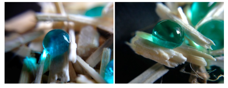 Coloured water droplets onto hemp shiv H12-1-5, with a WCA > 125°. Courtesy of TWI Ltd.