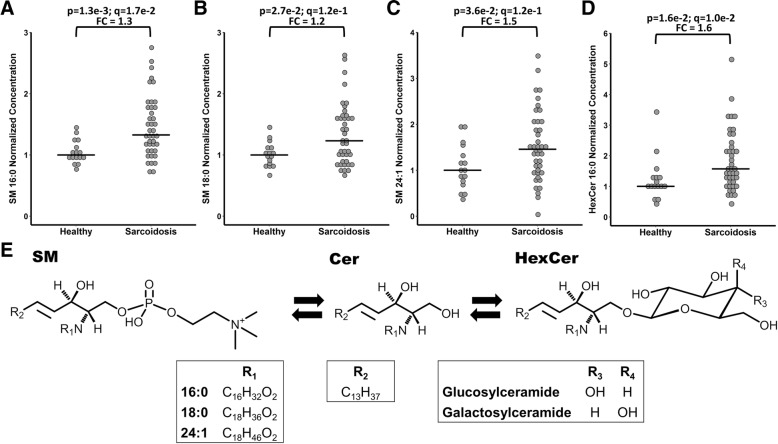 Sphingolipids displaying differential concentrations between healthy controls and patients with sarcoidosis. (a-d) Representation of the sphingolipid pathway (e). For graphical visualization, each value was normalized to the median concentration of the compound in the healthy group. Each dot represents an individual. The horizontal line indicates the median concentration in the group (Median of the healthy group = 1). p = Mann-Whitney p-value (two-tailed); q = Storey q-value; FC = Median fold change (Median sarcoidosis / Median healthy); SM = Sphingomyelin; Cer = Ceramide; HexCer = Hexosylceramide