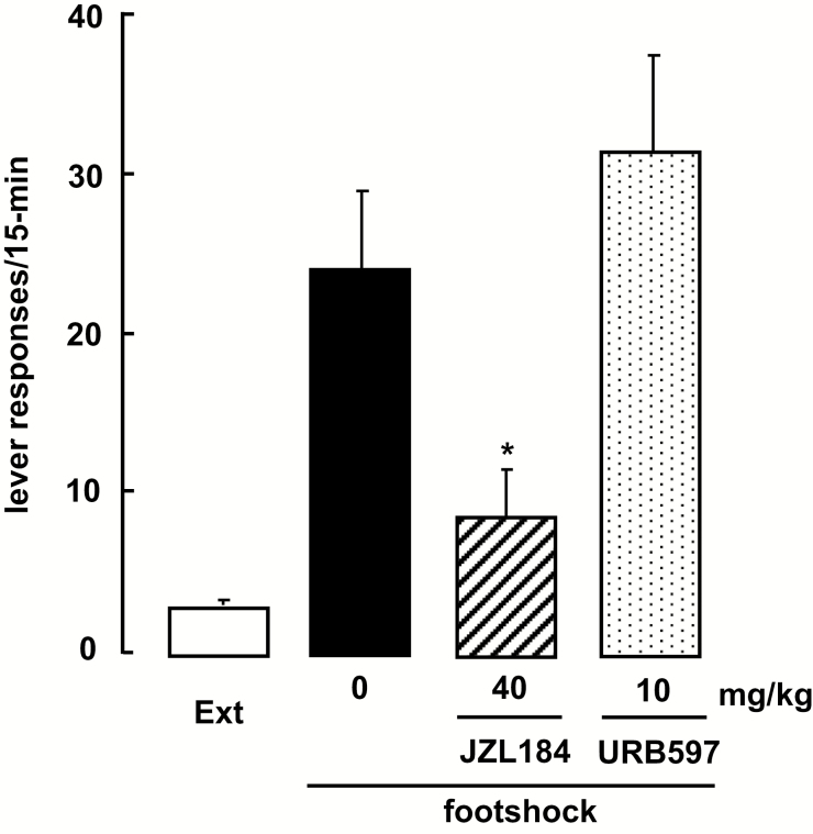Effects of JZL184 and URB597 on footshock-induced methamphetamine (METH)-seeking behavior. Rats were pretreated with JZL184 (40 mg/kg, i.p.) or URB597 (10 mg/kg, i.p.) 2 or 1 hour prior to the start of the session, respectively. *P<.05 for footshock vs footshock-JZL184 (40 mg/kg, i.p.)-treated rats. Each bar represents the mean (±SEM) number of presses on the previously active lever during the 15-minute exposure to footshock (or Ext). n=5 rats per group.