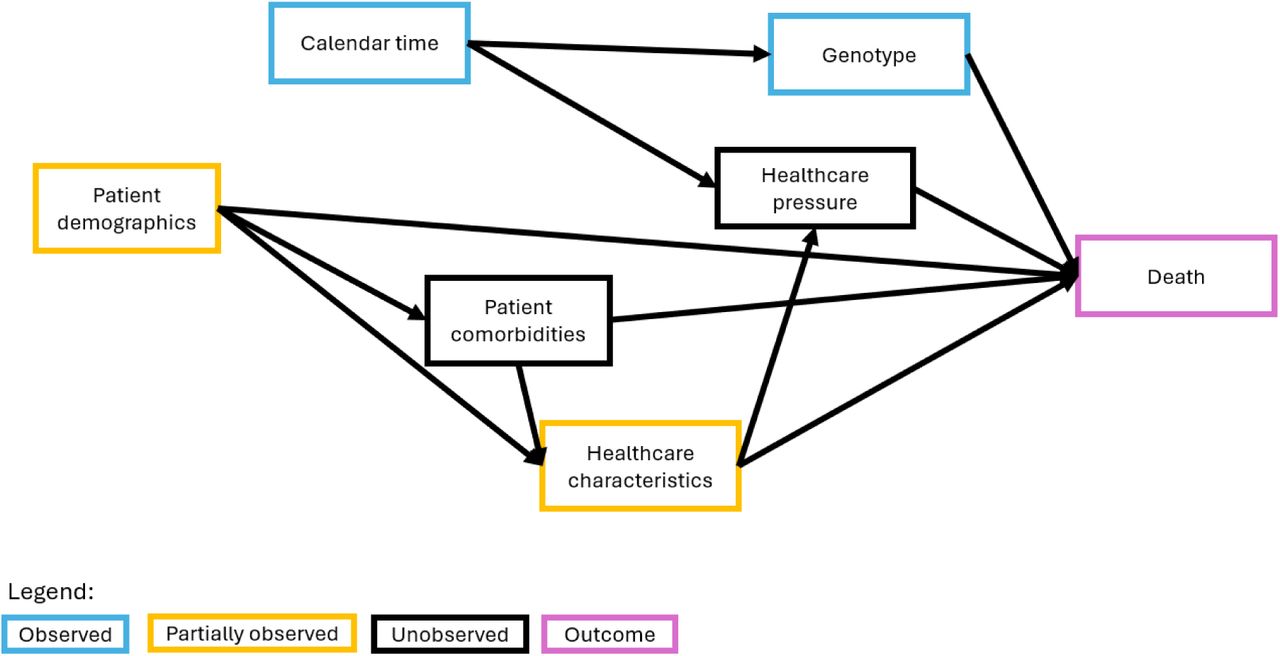 Directed acyclic graph (DAG) of causal effects contributing to the death of a detected norovirus case, whether attributable to norovirus or not. Observed effects are in blue, partially observed effects in orange, and the outcome (death) in purple. Arrows show the direction of causal relationships.