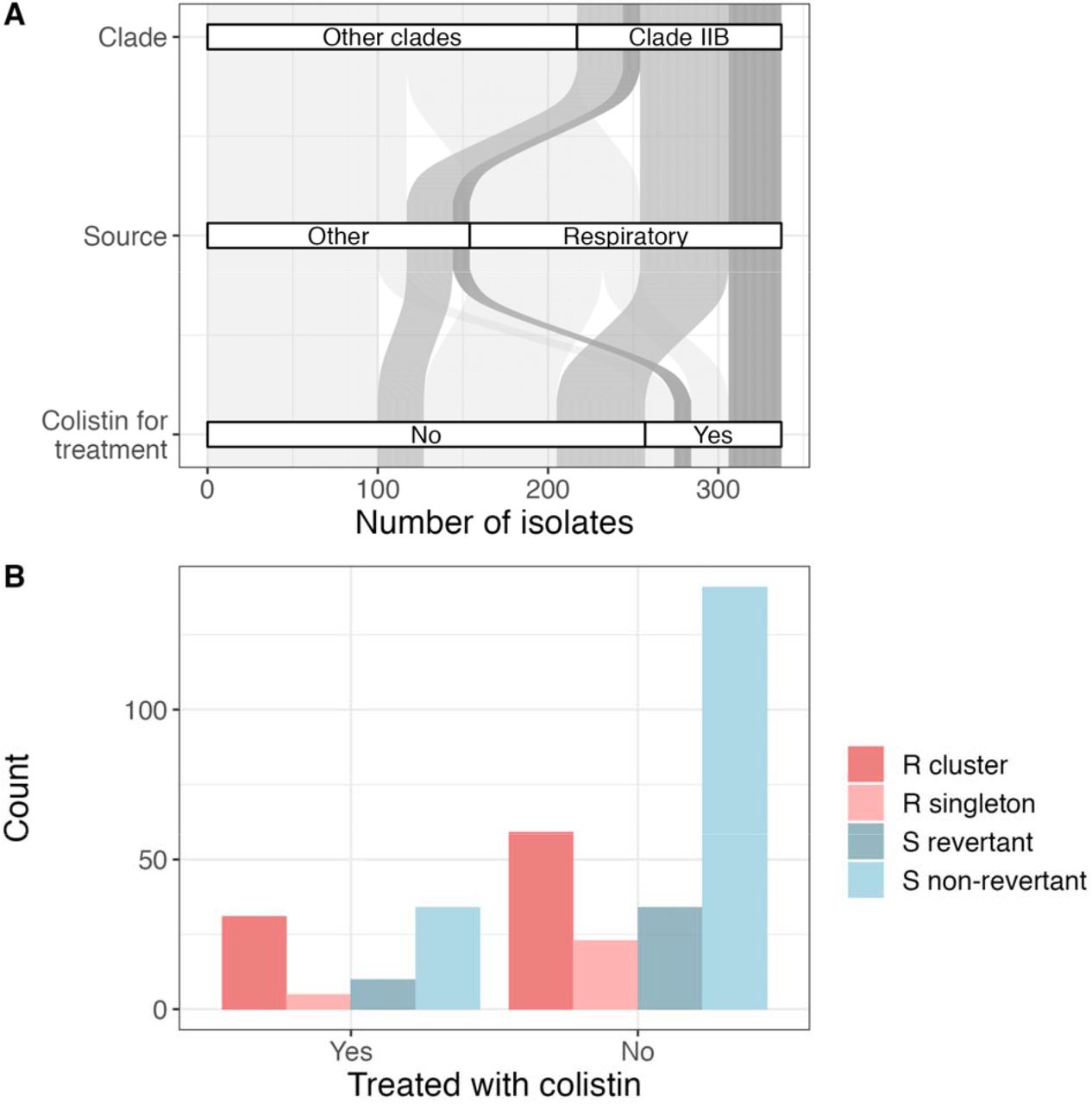 Patients with colistin-resistant isolates were treated with colistin.(A) The majority of clade IIB isolates are respiratory isolates, and many of the patients with those strains were treated with colistin (empiric and/or definitive). Differences in transparency are aesthetic to draw attention to clade IIB isolates treated with colistin. (B) Many colistin-resistant isolates were treated with colistin.