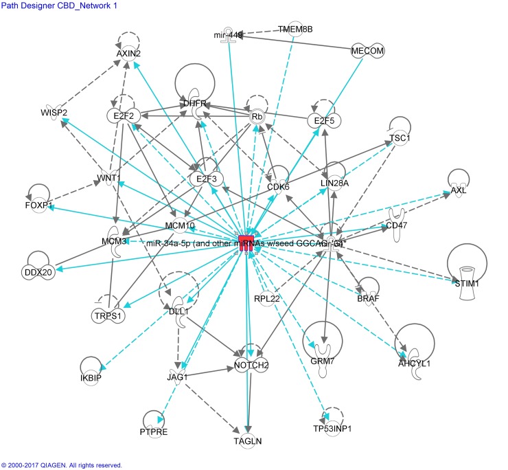 miRNA:mRNA gene network associated to CBD-treated microglial cells, identified by IPA—Network CBD_miR-34a-5p.Details are as indicated in Fig 6.