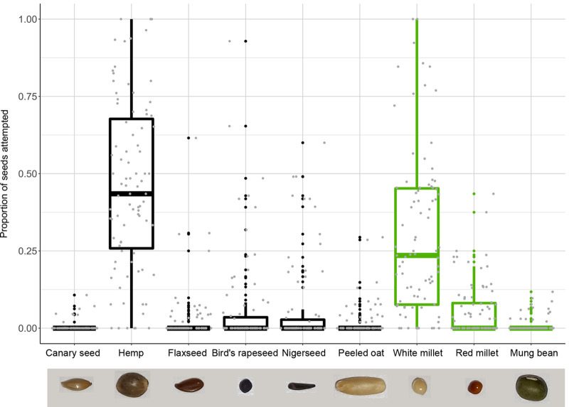 Distribution of the proportion of seeds selected per seed type. Selected seeds include both successful and failed seed husking attempts. Raw data points are shown as grey dots and represent individual birds (N=87 per seed). Novel seeds (Table 1) are coloured in green. The centre line denotes the median value (50th percentile), while the boxes contain the 25th and 75th percentiles. The black whiskers mark the 5th and 95th percentiles, and values beyond these upper and lower bounds are considered outlier values and shown as black dots. A picture of each seed is shown below their respective names.