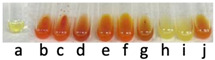 molecules-31-00796-i010.jpg