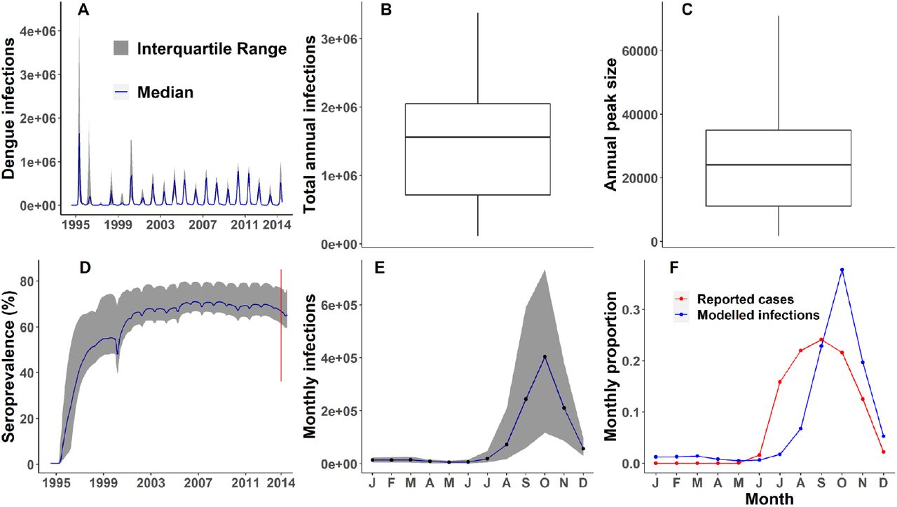 Modelled dengue transmission in Dhaka, Bangladesh (1995-2014):output from 1,000 simulations - (A) Median number of infections and IQR of monthly dengue infections. (B) Distribution of total annual infections across the period - the lower boundary of the box corresponds to the first quartile, the upper boundary corresponds to the third quartile, the line within the box represents the median, the whisker extended from the edges of the box indicate the range of the data, outliers excluded (1,159 outliers = 5.6% of values, maximum value: 9.9e+6). (C) Distribution of annual peak (maximum number of new daily infections each year) across the period, outliers excluded (1,631 outliers = 8.1% of values, maximum value: 5.6e+5). (D) Median seroprevalence and IQR: seroprevalence is defined as the proportion of all individuals ever exposed to any of the two dengue serotypes; red line segment – estimated range of dengue seroprevalence in Dhaka reported in a community-based seroprevalence study [22] (E) Seasonal distribution of dengue infections showing the median (solid line) and IQR (shaded area). (F) Proportion of median number of reported dengue cases and modelled dengue infections in each month.