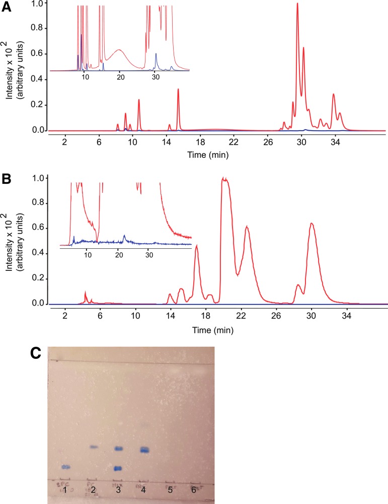 Verification of phospholipid removal by elution through EMR cartridges. (A, B) Total ion current tracings monitoring 11 phospholipid species, obtained before (red) and after (blue) EMR fractionation of (A) plasma and (B) brain samples. Inset: 10×magnification of the baseline. (C) Representative TLC separation showing phospholipid removal from brain. (1) 1-stearoyl-2-hydroxy-sn-glycero-3-phosphocholine (18:0 LPC); (2) 1-stearoyl-2-arachidonoyl-sn-glycero-3-phosphocholine (18:0–20:4 PC); (3) Mix of 18:0 LPC and 18:0–20:4 PC; (4) pre-EMR brain; (5) post-EMR brain; (6) post-EMR brain. EMR, Enhanced Matrix Removal; TLC, thin-layer chromatography.