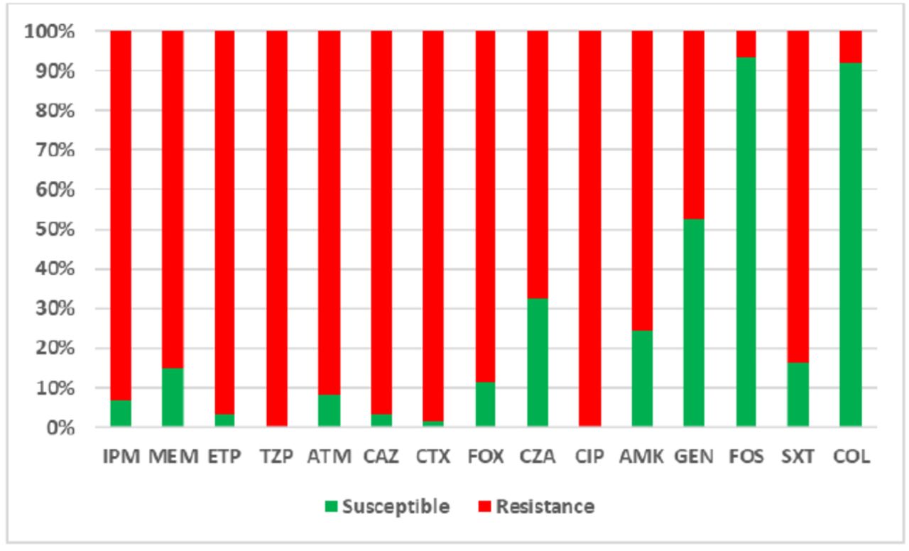 Distribution of antimicrobial resistance among carbapenemase-producing Escherichia coli clinical isolates.