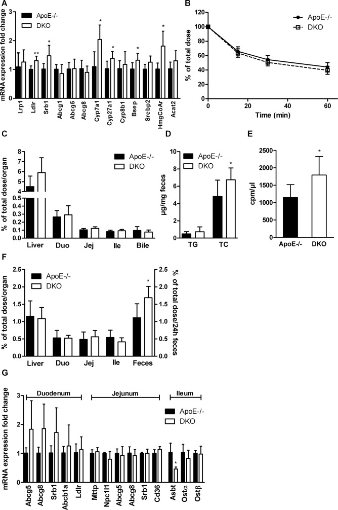 Increased biliary secretion of hepatic cholesterol in DKO mice(A) Hepatic mRNA expression analyzed in duplicate by real-time PCR and normalized to cyclophilin A expression as reference gene. Expression profiles and associated statistical parameters were determined by the 2−ΔΔCt method (n = 5–6). (B) Plasma and (C) tissue radioactivity distribution 60 min after i.v. injection of [3H]cholesterol-labeled LDL (n = 5–6). (D) Fecal TG and TC loss (n = 8). (E) Bile, (F) tissue, and fecal radioactivity distribution 24 h after i.v. injection of [3H]cholesterol-labeled LDL (n = 5–6). (G) Intestinal mRNA expression analyzed in duplicate by real-time PCR and normalized to cyclophilin A expression as reference gene. Expression profiles and associated statistical parameters were determined by the 2−ΔΔCt method (n = 3−5). Data represent means ± SD; *p < 0.05, **p ≤ 0.01.