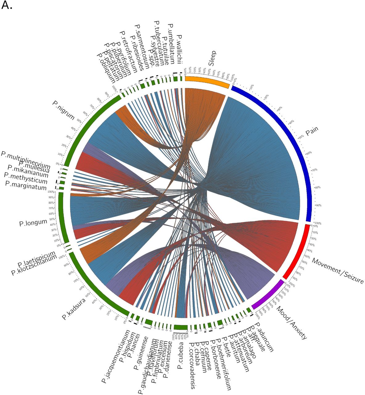 Diversity and global patterns of medicinal use for Piper species.A. Circos plot of Piper species associations with major therapeutic indication categories across global traditional medical systems. This visualization illustrates the frequency-based relationships between individual Piper species and four key therapeutic categories: Pain (blue), Movement/Seizures (red), Anxiety/Mood (purple), and Sleep (orange). Each connection line represents a documented instance where a Piper species is used in a traditional medicinal formula associated with one of these indications. Multiple lines between a species and different indication categories reflect formulas used to treat more than one disorder. Likewise, when multiple Piper species appear in the same multi-indication formula, each pairing is represented individually (e.g., a formula using P. longum and P. nigrum to treat all four categories results in total linkages). Notably, Piper nigrum, Piper longum, and Piper kadsura are most frequently associated with formulas targeting these indications. Piper methysticum (Kava) also shows strong multi-indication representation. Eight species (including P. methysticum, P. borbonense, P. cubeba, P. guineense, P. kadsura, P. longum, P. nigrum, and P. umbellatum) are documented in treatments across all four categories, with an additional nine species showing associations with at least two indication domains. These data support the hypothesis that therapeutic potential within the Piper genus extends well beyond P. methysticum, offering a broad foundation for polypharmaceutical or alternative formulations in neuropsychiatric and pain-related disorders. B. Regional variation in medicinal indication patterns of Piper species use across global integrative medical systems. Geospatial summary of Piper genus use cases across five GBIF regions (Americas, Africa, Europe, Asia, and Oceania) based on aggregated ethnomedical data. The word cloud is overlaid onto a world map, with each region displaying terms corresponding to medical indications associated with local Piper species and word size reflecting frequency with which a given indication appears in regional formulations.