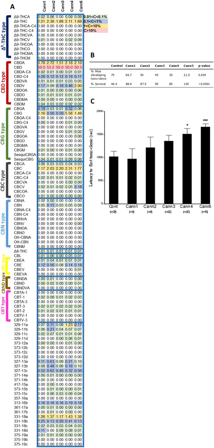 Effect of equally high CBD Cannabis strain extracts on pentylenetetrazol (PTZ)-induced convulsions. (A) Comparison of the LC/MS concentrations of the five Cannabis extracts that were used to evaluate the anticonvulsant effect of Cannabis extracts using the PTZ-induced convulsion test in mice. Values were color-coded according to order of magnitude of concentrations. All strains contained similar CBD contents (50% w/w) but differed in the concentrations and ratios of other phytocannabinoids. (B) The analyzed Cannabis extracts were found to reduce PTZ-induced incidence of tonic-clonic seizures and mortality. (C) Both Cann4 and Cann5 extracts significantly increased latency to first tonic-clonic seizures (F5,103 = 4.4, p = 0.001). Values are reported as mean ± SEM, *p < 0.05, ***p < 0.001 vs. a control group. Percent of protection against incidence of tonic seizures and subsequent death to PTZ were compared among groups using the χ2 test (p > 0.05 for both seizure protection and mortality protection).