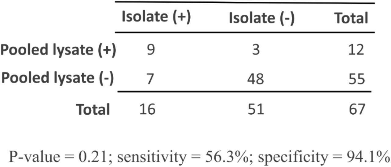 Comparison of the ‘enrichment-to-isolate’ (Isolate(+), Isolate(−); mSC agar only) and ‘enrichment-to-PCR’ (Pooled lysate(+), Pooled lysate(−)) workflows, sensitivity, and specificity for the detection of carbapenem-resistant genes (blaKPC, blaNDM, blaVIM, blaOXA-48-like, and blaVIM) from wastewater samples in three skilled nursing facilities (Georgia, USA; 2022), as determined by McNemar’s test, where statistical significance is set at P-value<0.05. This analysis includes 67 of the 73 total pooled samples that were available for comparison.