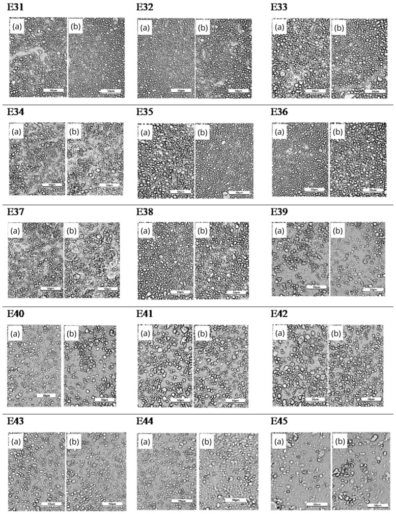 Microstructure of E31–E45 systems: (a) 24 h after manufacture and (b) after 30 days of storage at 25 °C (400×). Scale bar: 50 μm.