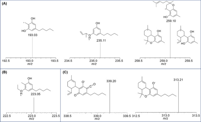 Mass spectra of the main fragments of the monitored ions. SRM transition for the precursor ion at (A) m/z 315 – ESI­(+), (B) m/z 311 – ESI­(+), and (C) m/z 357 – ESI(−).