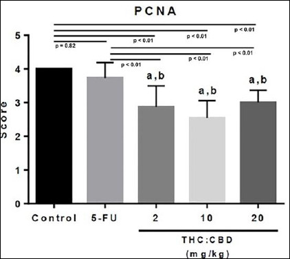 Average histological scores of proliferating cell nuclear antigen (PCNA)-positive tumor cells relative to the total number of tumor cells per high-power field (HPF) in the negative control group, positive control group (5-FU), and cannabinoid-treated groups (THC:CBD, 1:6) at doses of 2, 10, and 20 mg/kg BW. Data were expressed as mean ± SD. a Indicates significantly different from the negative control group (p < 0.05). b Indicates significantly different from the positive control group (5-FU) (p < 0.05). 5-FU = 5-fluorouracil, BW = Body weight, THC: CBD = tetrahydrocannabinol: cannabidiol, SD = Standard deviation.