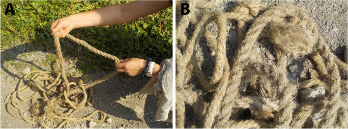 Ropes made from Cannabis fibres; photographs taken in Gargar (Lori marz) (A, B)