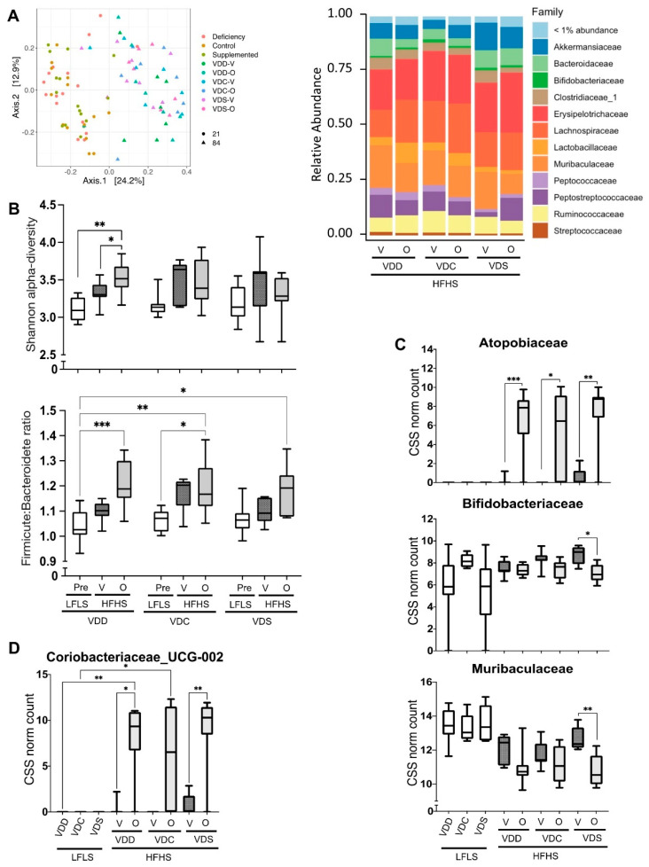 Composition of the faecal microbiome. (A) beta-diversity of gut microbiome composition through Principal Coordinate Analysis (PCoA; left) and relative abundance of Families (right). (B) Shannon alpha-diversity index evaluating gut microbiota richness and evenness (top) and Firmicutes to Bacteroidetes ratio (bottom). Prevalence of selected gut microbiota at the (C) family and (D) genus level on days 21 (after LFLS) and 86 (after HFHS). Data are shown as box (5th and 95th and mean value) and whisker (minimum and maximum values) plots. * p ≤ 0.05; ** p ≤ 0.01;, *** p ≤ 0.005.